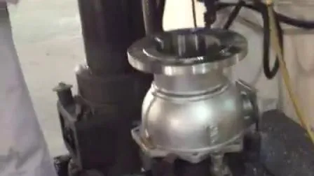 Flange de rosca aparafusada de aço inoxidável para fornecedores de fábrica